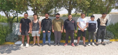 Edirne'de 12 dzensiz gmen yakaland