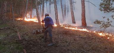 eme'de orman d alanda yangn