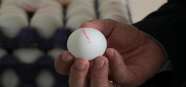 'Numaral� yumurtalar ila�l�' iddialar�na ili�kin G�da ve Kontrol Genel M�d�rl���nden a��klama