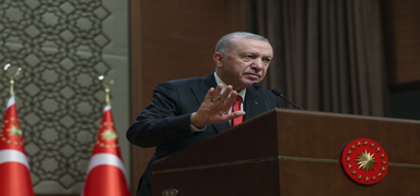 Bakan Erdoan'dan 'Brokratik oligari' uyars: Elitist zihniyet gemite zarar verdi