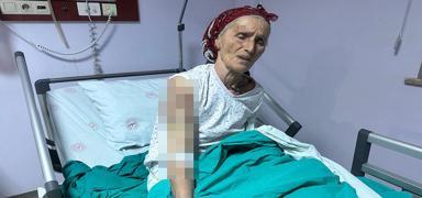 Vcuduna 50 diki atld