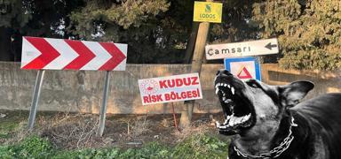 Y�zlerce insan�n can� tehlikede