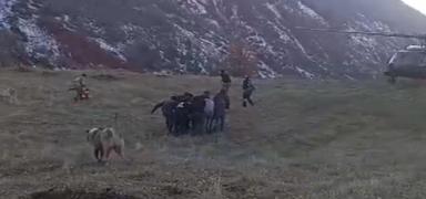 Domuz srsnn saldrsna urayan bir kii uurumdan derek yaraland