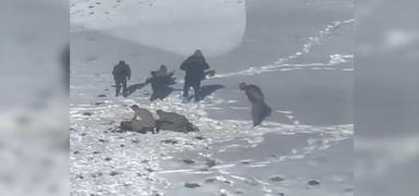 Donmak �zere olan g��menin imdad�na ambulans helikopter yeti�ti