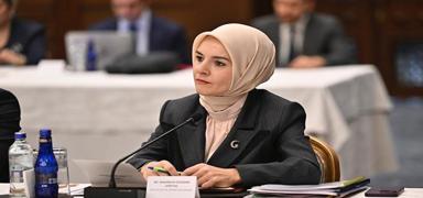 Bakan Gkta'tan Elmas Hanili cinayeti davasna ilikin aklama