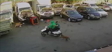 Kpekten kaan motosikletli kamyonete arpt