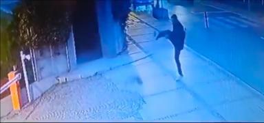 Be�ikta�'ta kediye tekme atan ��pheli yakaland�