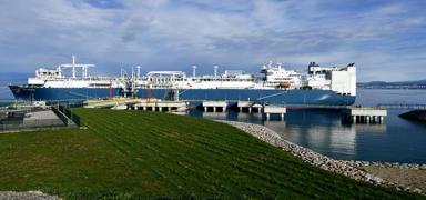 Ortaklk planlar hazrland