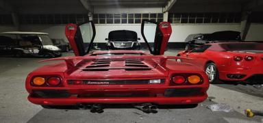 De�eri milyonlarca dolar� buluyor! Devrik Esed ailesinin bir hazinesi daha g�r�nt�ledi