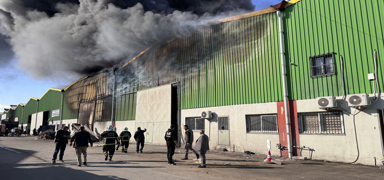 Adana'da fabrika yangn: Ekipler mdahale ediyor