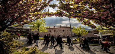Hava scaklklar hafta ii mevsim normallerinin zerine kacak