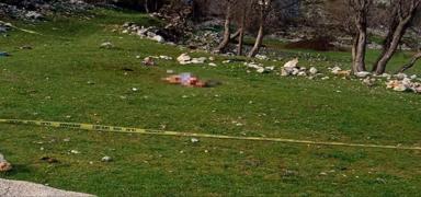 85 ya��ndaki kad�n�n �l�m�ne yol a�an k�peklerin sahibine hapis!