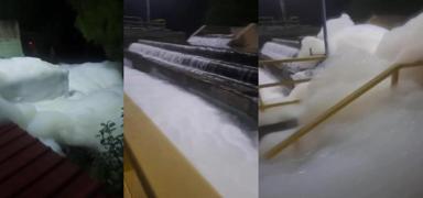 Yalova'daki sularda kimyasal alarm