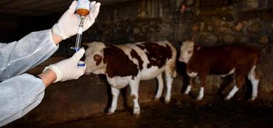 ap hastal alarm! O ehirde  ile karantinaya alnd