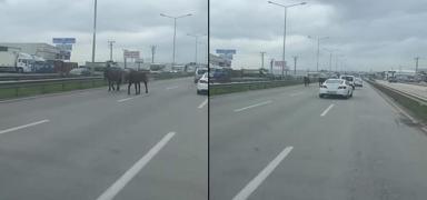 Ana yolu hipodroma evirdiler