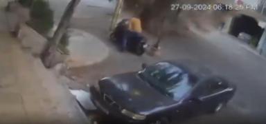 Suikastn grnts ortaya kt