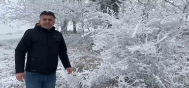 Tekirda'da ilgin doa grnts