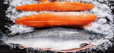 T�rk somonu ihracat� ge�ti�imiz ay 3,9 milyon dolar� a�t�