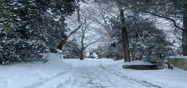 Giresun'da kar ya���� nedeniyle e�itime 1 g�n ara verildi