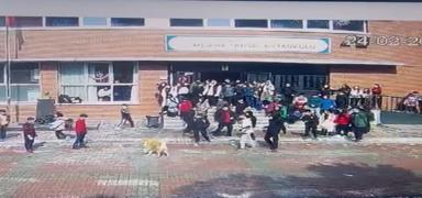 Okulun bahesinde kpek deheti! rencilere ve retmene saldrd