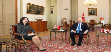 TBMM Bakan Kurtulmu, Grcistan Dileri Bakan ile grt