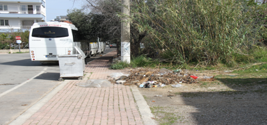 Antalya'da kedi lmleriyle ilgili inceleme balatld