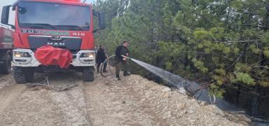 Aydn'da korkutan yangn! 2 hektarlk alan kle dnd