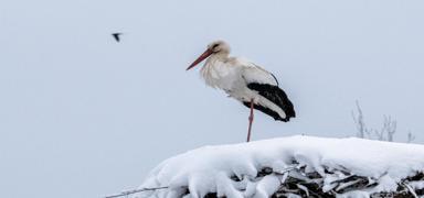 60 ilde souk hava dalgas! Scaklklarn geri dnecei tarih belli oldu