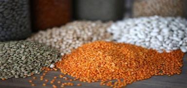 Akdeniz'de hububat, ya�l� tohum ve bakliyat ihracat� 151,1 milyon dolara ula�t�