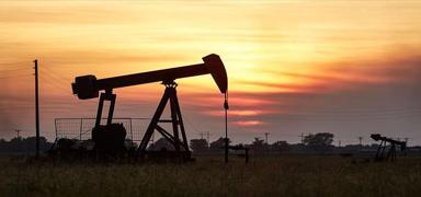 Dev petrol anlamas: Gnlk retim 420 bin varile karlacak