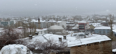 Van'n Bakale ilesinde kar yad