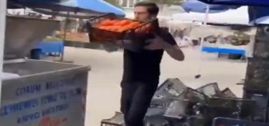 Kasa kasa domatesi pe dktler