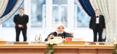Bakan Gkta, Almanya'ya gidiyor