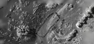 Trump sald�r�n�n g�r�nt�s�n� payla�t�