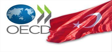 OECD'den Trkiye raporu