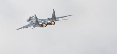 24 adet i�in resmi temas