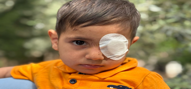 Sahipsiz k�pek deh�eti! 3 ya��ndaki �ocu�a g�z�nden sald�rd�