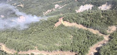 anakkale'de ormanlk alanda yangn