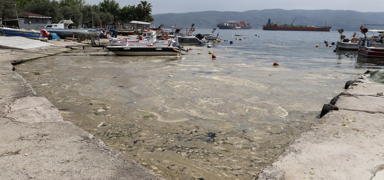 Krfezde oluan kpks tabaka temizleniyor