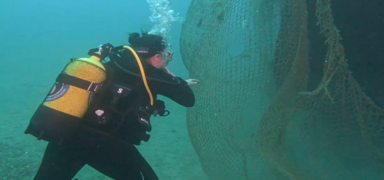 zmir Karaburun'da denizden 1,5 ton hayalet a karld