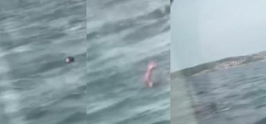 stanbul Boaz'nda yrekleri aza getiren anlar: Ekipler kz ocuu iin seferber oldu