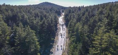 Ankara Valili�i duyurdu: Ormanlara giri�ler 10 Haziran'dan itibaren yasakland�