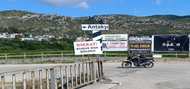 Hatay'da kuduz karantinas! Babo sokak kpekleri toplatlyor