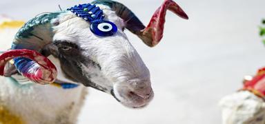 Kurban Bayram� mesajlar�| Resimli, anlaml�, dual� kurban bayram� mesajlar�