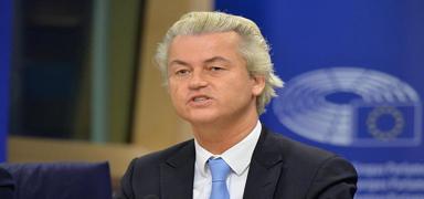 Wilders'n foyas meydana kt