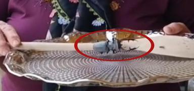 'K�rm�z� Liste'de yer al�yor