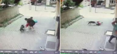7 yandaki ocuu zor kurtardlar