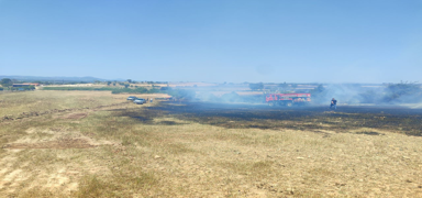 anakkale'de tarm arazisinde yangn!