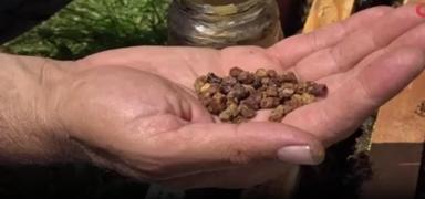 ��pe gidiyordu, �imdi kilosu 3 bin lira!