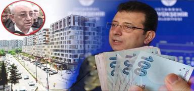 Hasan mamolu'na daire kya